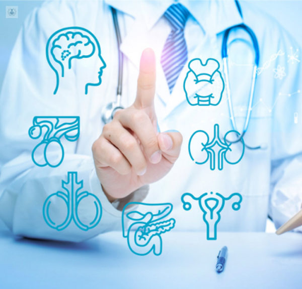 ENDOCRINOLOGIA - blue medical