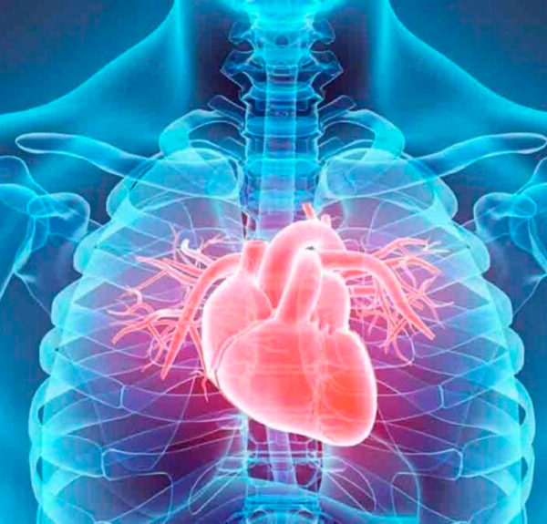 cradiologia-bluemedical